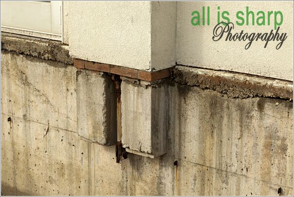 Post Removal Documentation-037-4198037